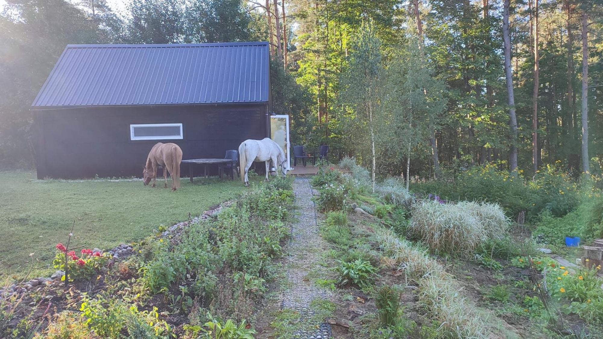 Modern Sauna Cabin In Horse Ranch Liyeplauke المظهر الخارجي الصورة