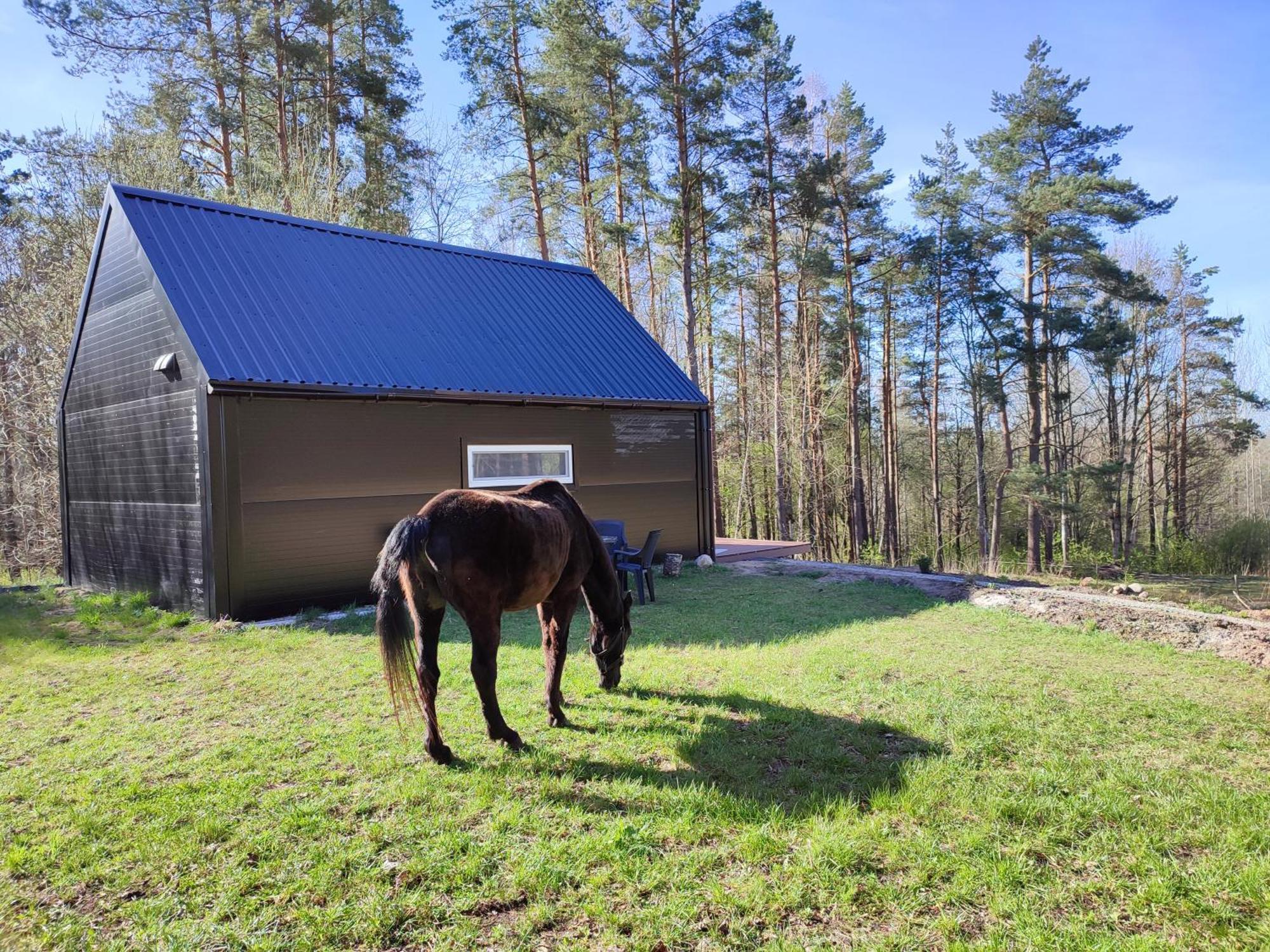 Modern Sauna Cabin In Horse Ranch Liyeplauke المظهر الخارجي الصورة
